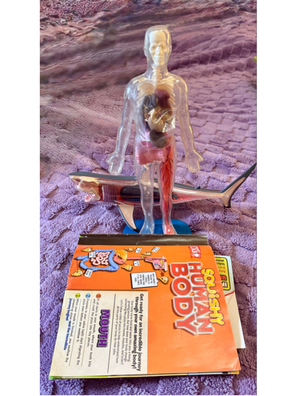 2 pc Smart Lab Squishy Human Body & Shark Anatomy Learning Toy Set